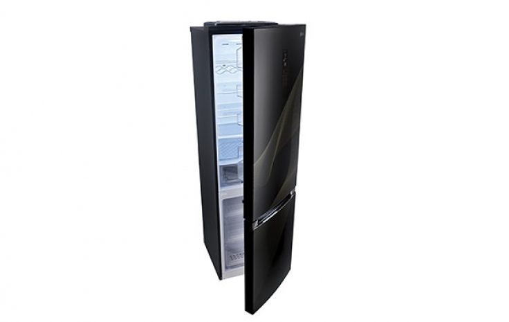 LG представляет холодильник с дизайном от Карима Рашида