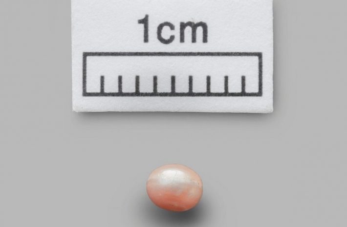 Древнейшая в мире жемчужина обнаружена в Абу-Даби