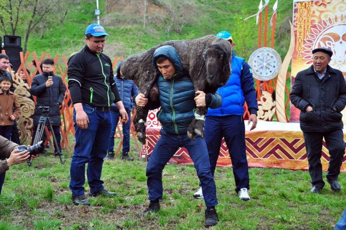 В Шымкенте прошел конкурс «Подними барашка»