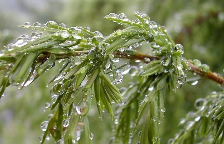 Казахстан охватят дожди