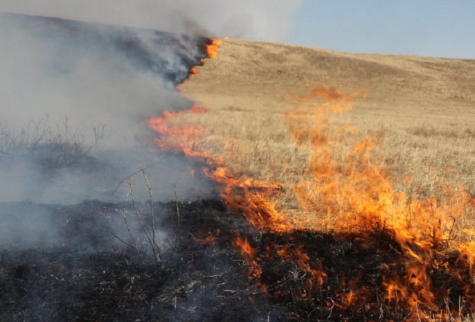 27 степных пожаров за сутки произошло в Восточном Казахстане
