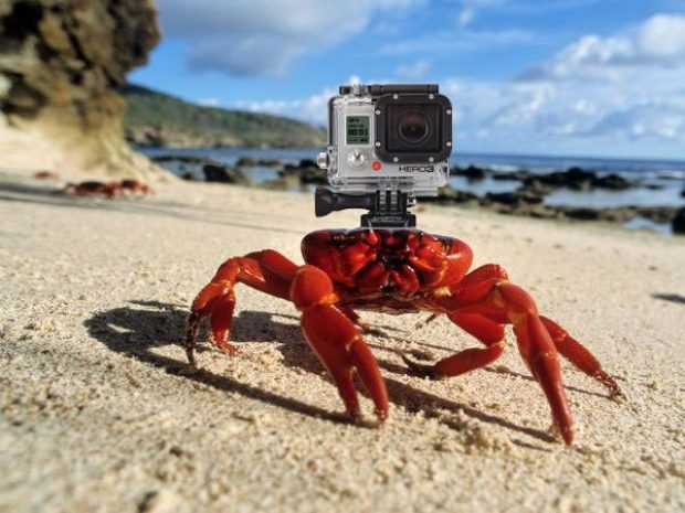 GoPro привлечет на IPO $100 млн