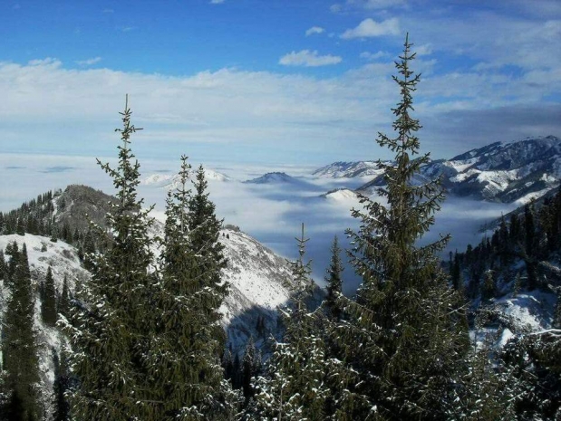 Курорт на Кок-Жайляу построит директор знаменитого Куршевеля