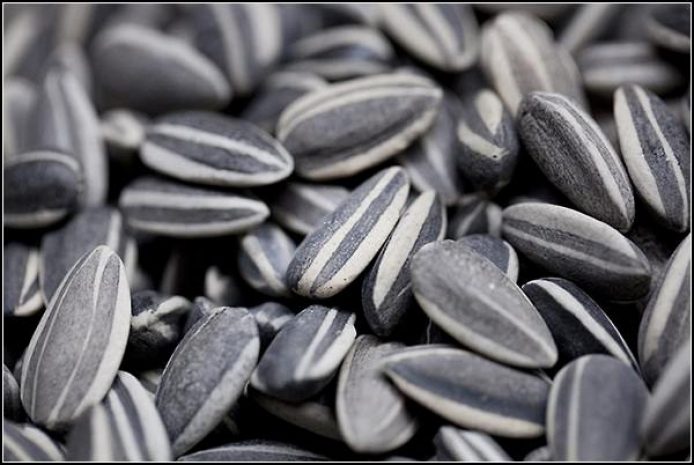 На границе задержан караван, перевозивший семечки