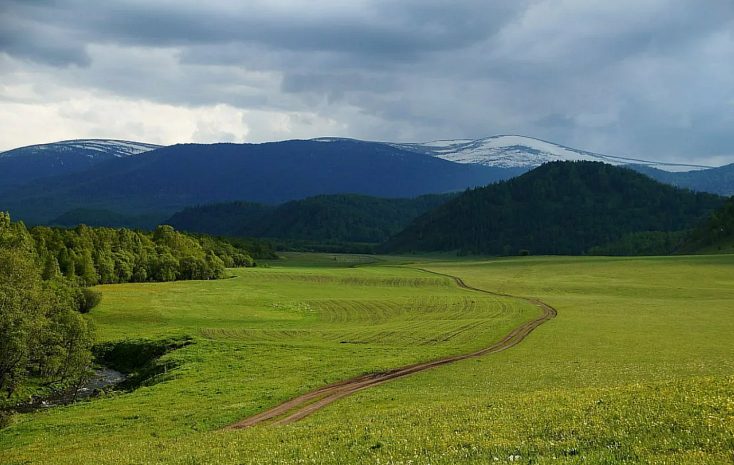 Земельные участки стоимостью 218 миллионов тенге возвращены государству