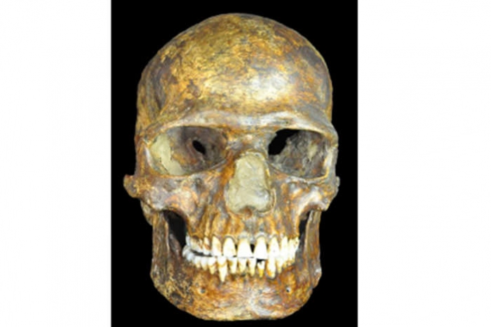 Геном древнейшего человека пролил свет на колонизацию планеты