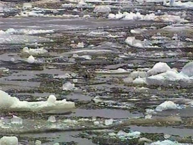 Тело девятилетнего ребенка нашли в Актобе