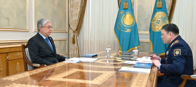 Токаев принял министра внутренних дел Ержана Саденова