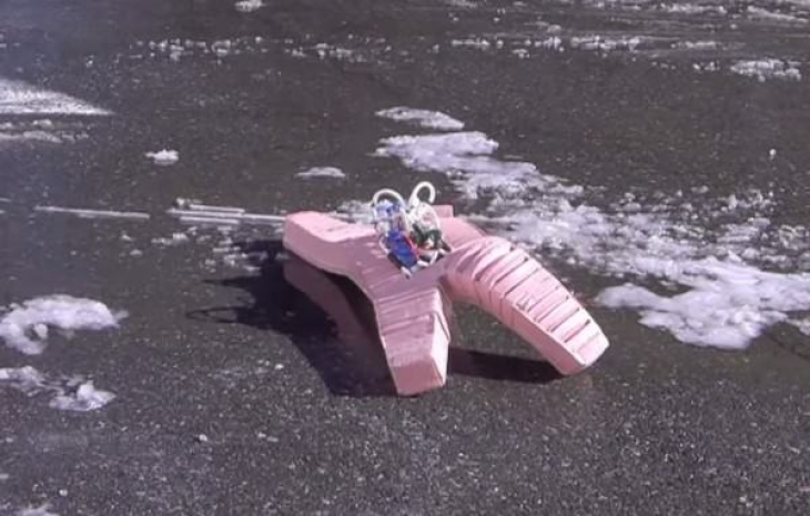 Мягкий робот победил огонь, мороз и кислоту