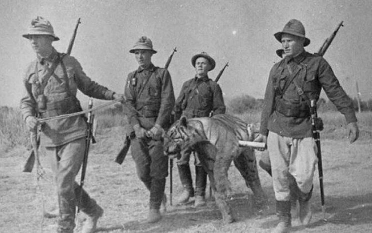 Черная книга Казахстана: пять животных, которых уничтожил человек