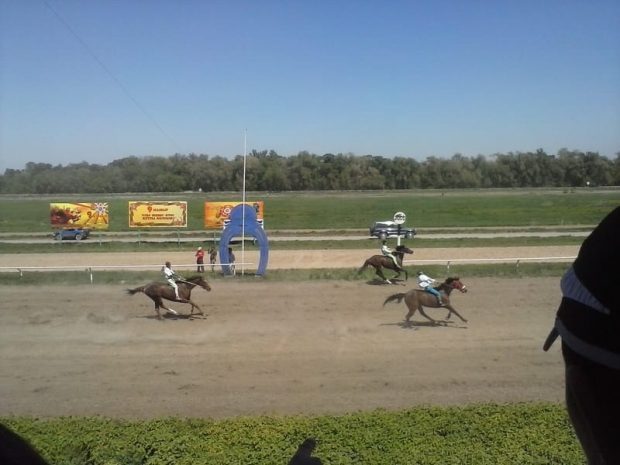 Ипподром Алматы отремонтируют частные инвесторы