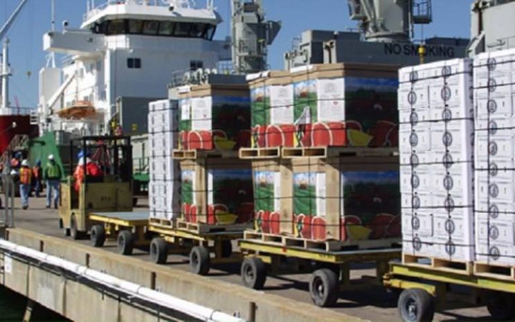 В Испании предлагают отдать лишние фрукты на благотворительность