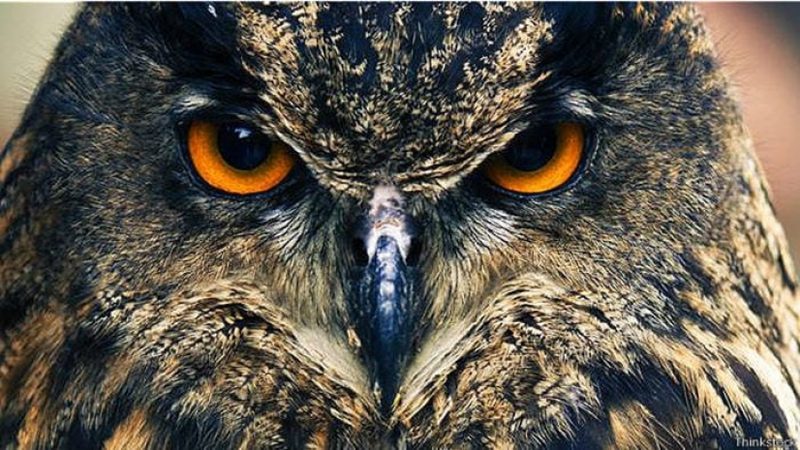 Работа ночью: о чем вам не расскажут врачи