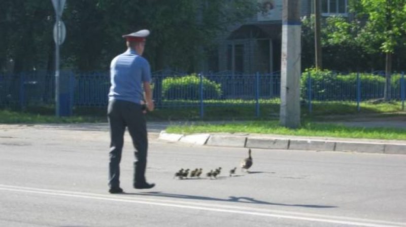 Ролик казахстанца на YouTube собрал 4,8 млн просмотров