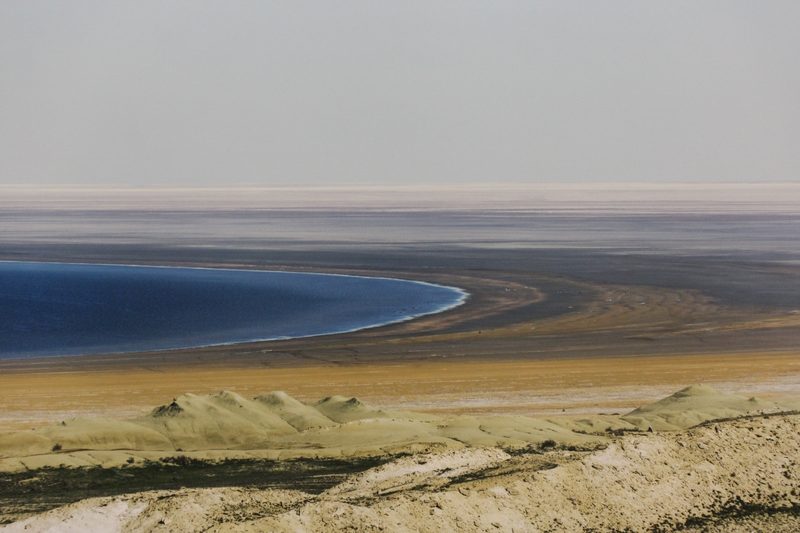 Пастбищные угодья появятся на осушенном дне Аральского моря