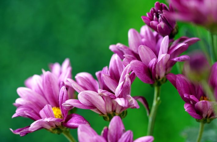 Погода без осадков установится на большей части Казахстана