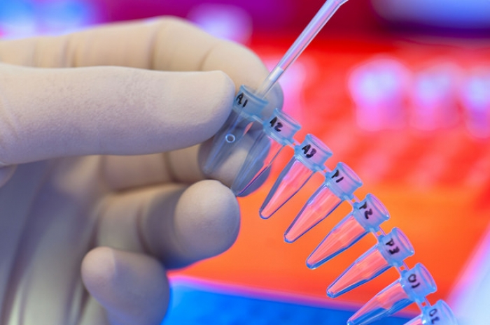 Найден новый бункер ВИЧ в организме человека