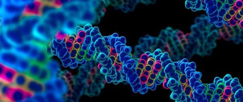 Канадцы жалуются на генетическую дискриминацию