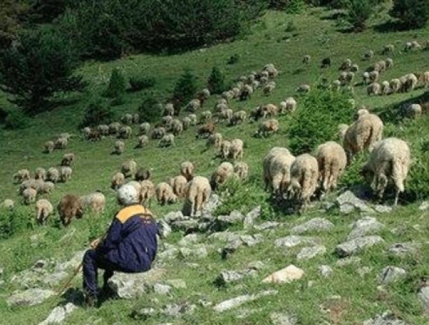 В Алматинской области найден 70-летний мужчина, пропавший в прошлом году