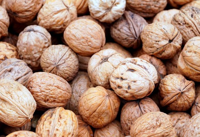 Популярный тренд из соцсетей с замачиванием орехов оценила нутрициолог