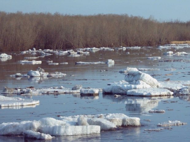 Потепление и осадки могут вызвать ледоход и паводки