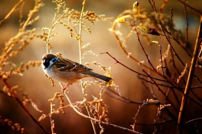 Похолодание ожидается на большей части Казахстана