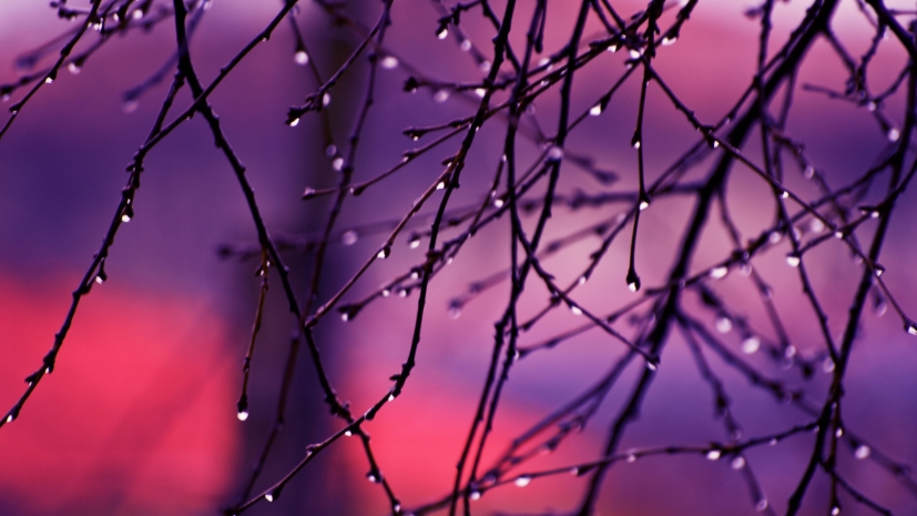 Дожди пройдут в нескольких областях Казахстана