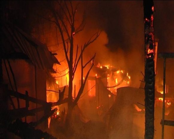 Крупная голубятня сгорела в Алматы (ФОТО, ВИДЕО)