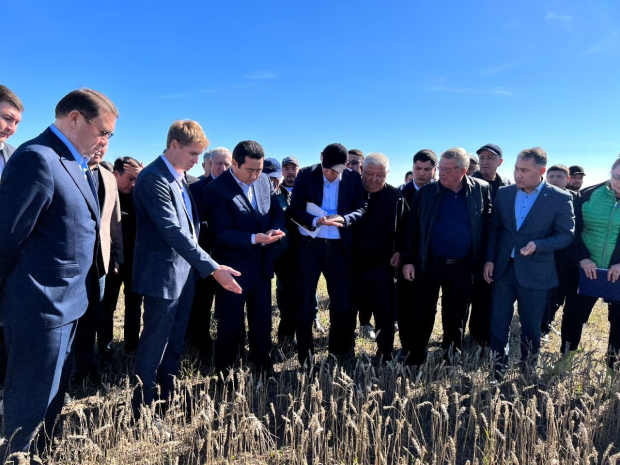 На проблемные вопросы аграриев Костанайской области ответил глава Минсельхоза