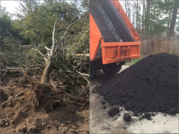 Уголовное дело по факту уничтожения яблоневого сада возбудила полиция Алматы