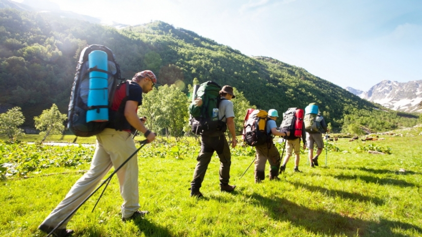 Решить кадровые проблемы в сфере туризма поручил премьер