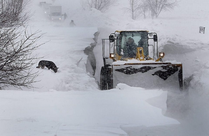 За сутки в РК из снежного плена освобождены почти 500 человек