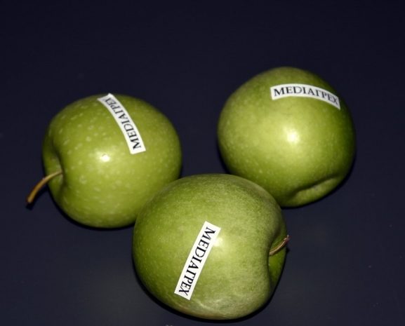 Роман Виктора Елисеева «MEDIAГРЕХ» презентовали в Казахстане