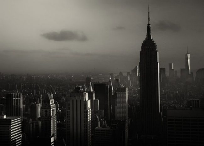 Современная архитектура в фотографии Алекса Тьюшера