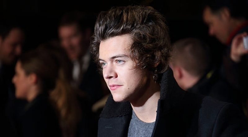 Гарри Стайлз признался в бисексуальности