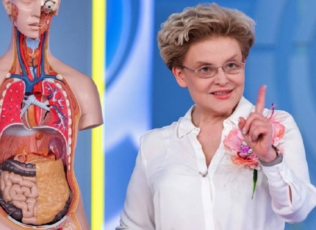 Елена Малышева назвала продукты для укрепления иммунитета против COVID-19