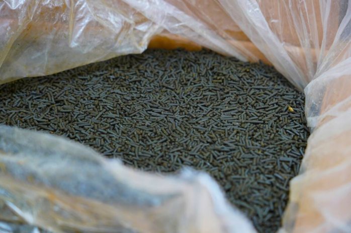 Реализацию крупной партии насвая и снюсов пресекли в Костанае