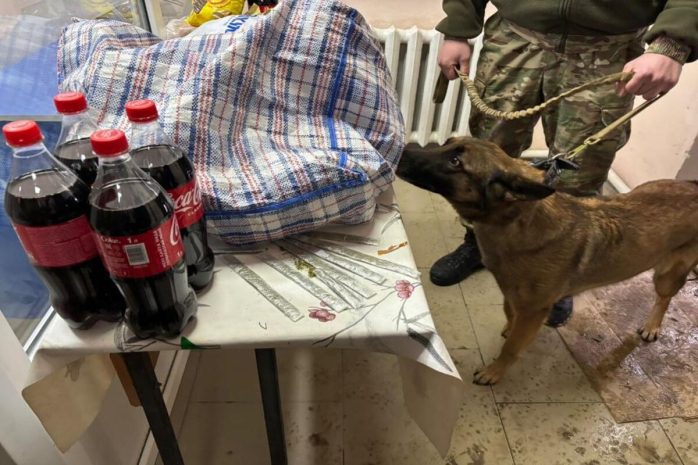 Қызылорда облысында сотталғанға марихуана бермек болған әрекет тоқтатылды