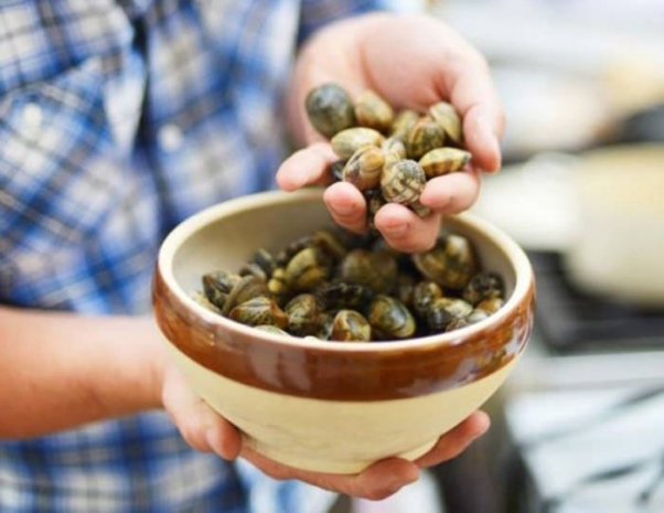 Фуд фотография