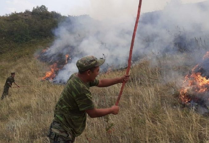 МВД рассчитывает на «помощь» осадков в тушении природных пожаров
