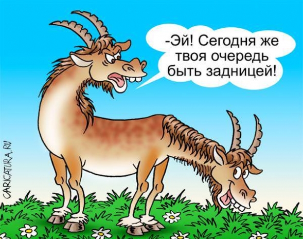 Появился претендент на премию «Самый бредовый проект года» в РК