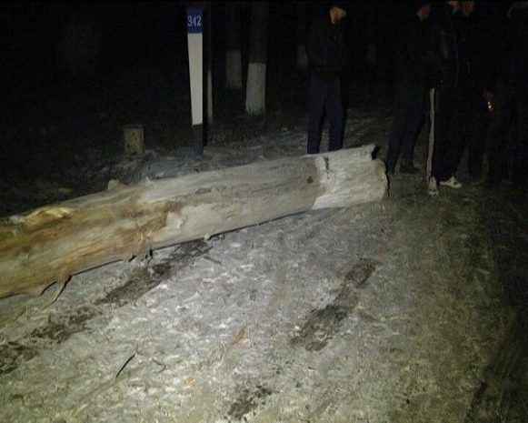 В Алматы сильный ветер повалил дерево на автомашины (ФОТО)