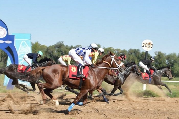 Чистокровный английский скакун озолотил хозяина в Алматы