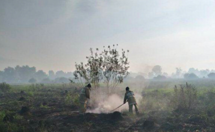 В Усть-Каменогорске тушат горящую сухую траву