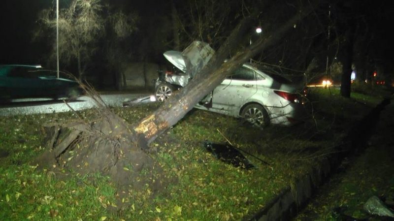 В Алматы легковой автомобиль вырвал с корнем дерево