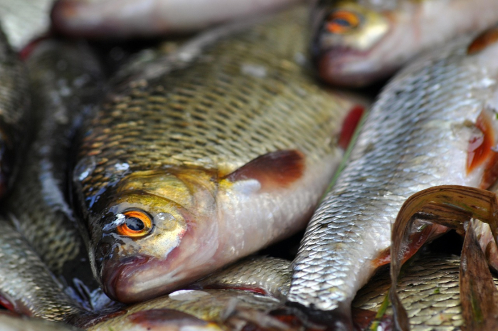 16 браконьеров арестовали в Туркестанской области