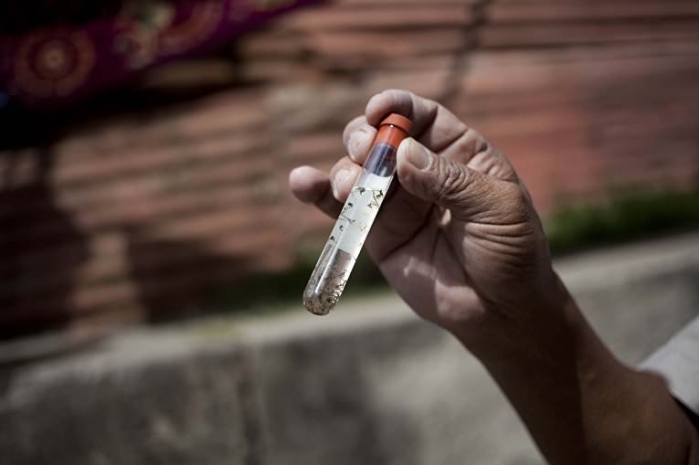 В Чили подтвердили первый случай передачи вируса Зика половым путем