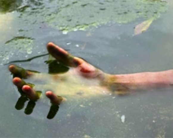 В речке дендропарка найден труп 47-летнего мужчины