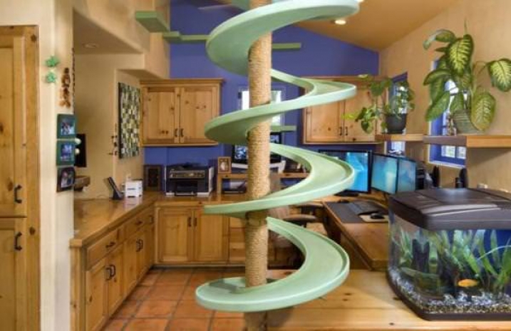 Американец превратил свой дом в Диснейленд для котов