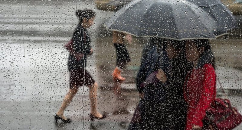 Непогода в Алматы: падающие деревья и поврежденные машины